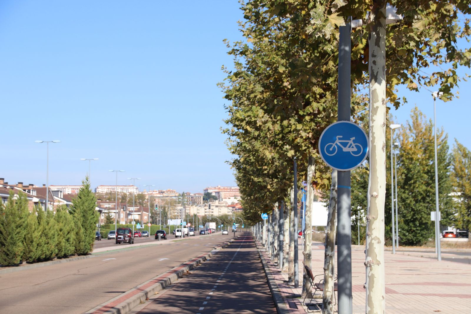 Carril bici en la Avenida de la Serna. Foto de archivo