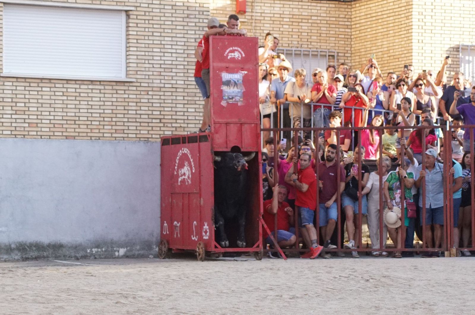 whatsapp-image-2024-08-04-at-21-09-58