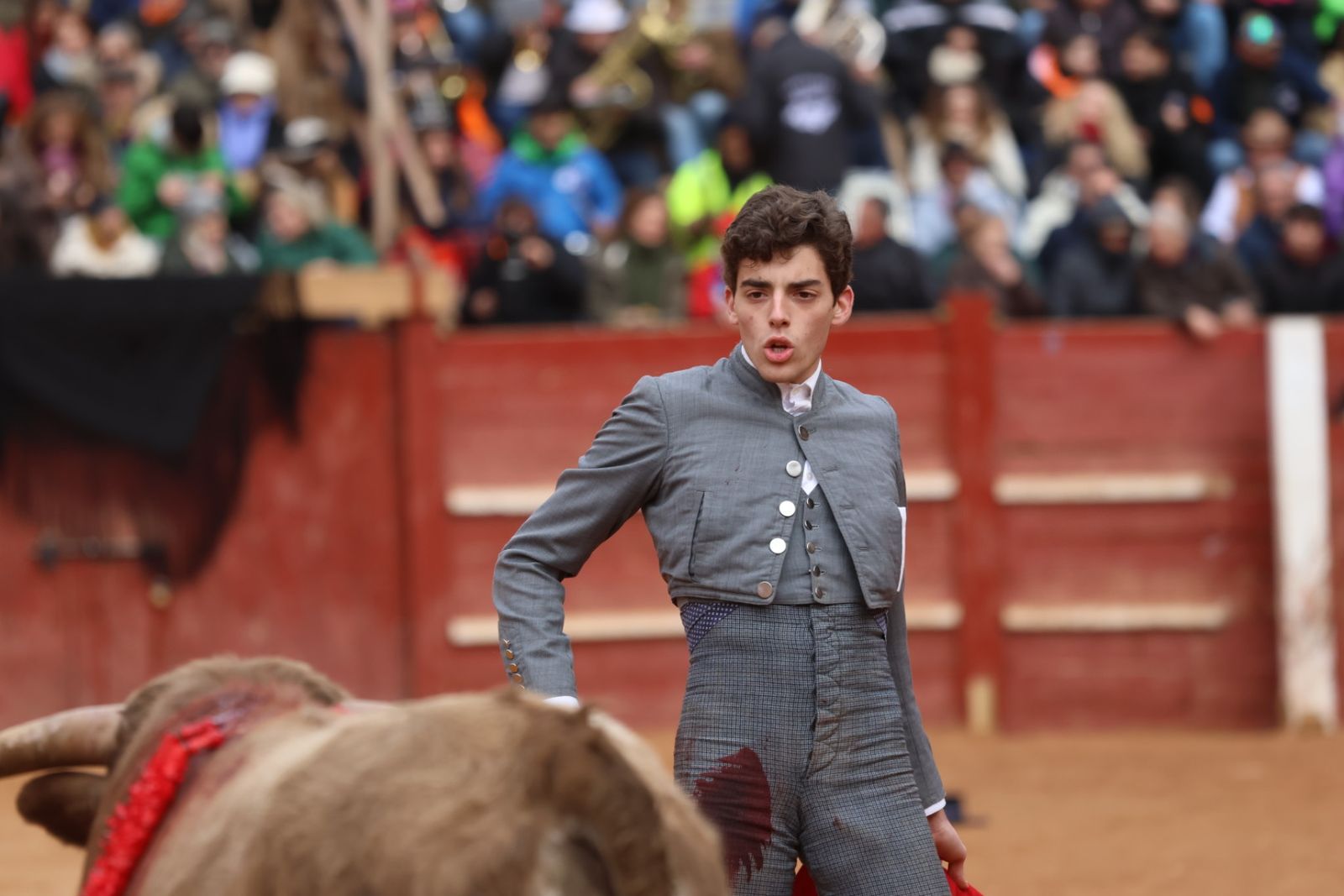 Novillada sin picadores del bolsín taurino y rejones en Ciudad Rodrigo