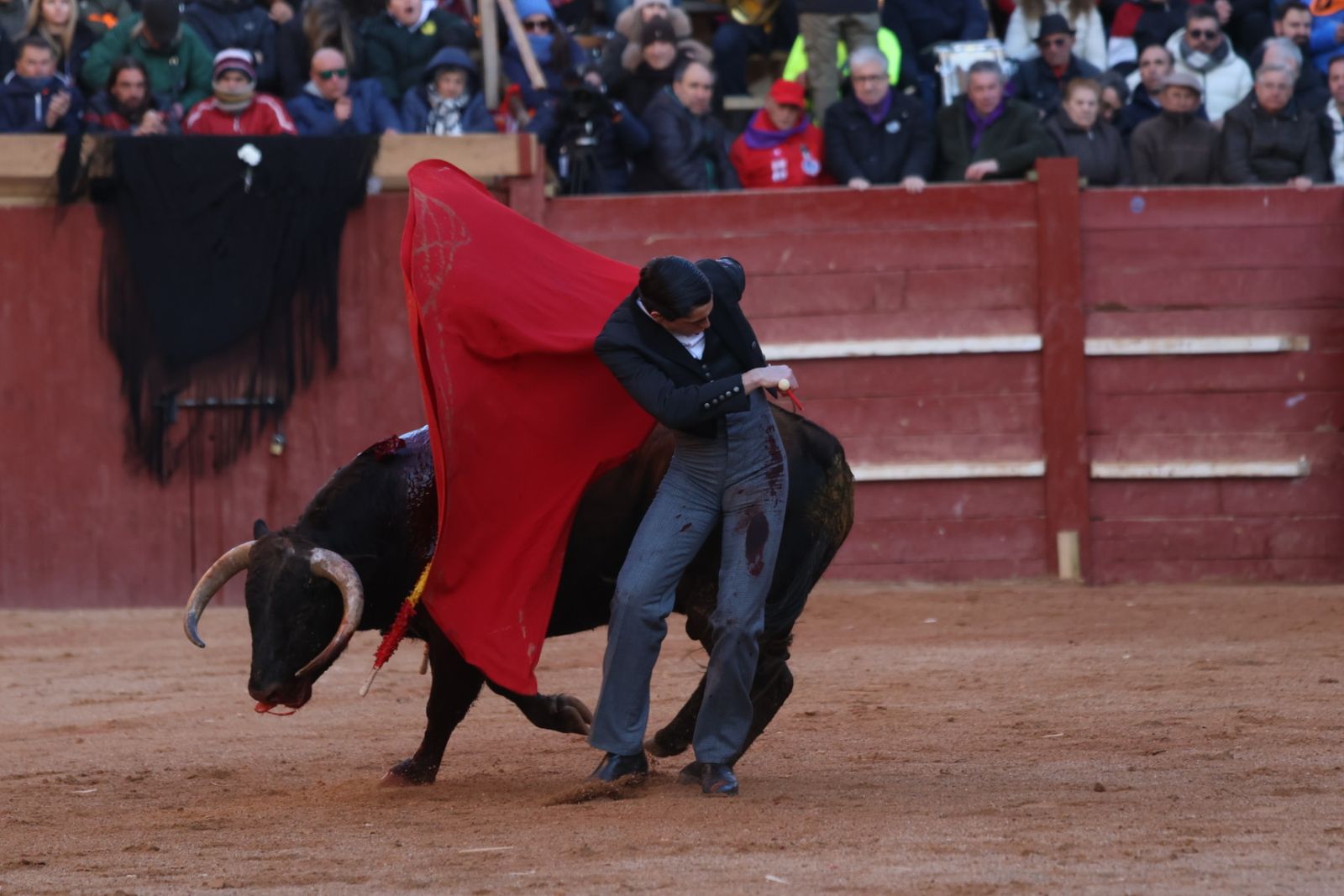 Festival taurino del Sábado en el Carnaval del Toro 2026 de Ciudad Rodrigo