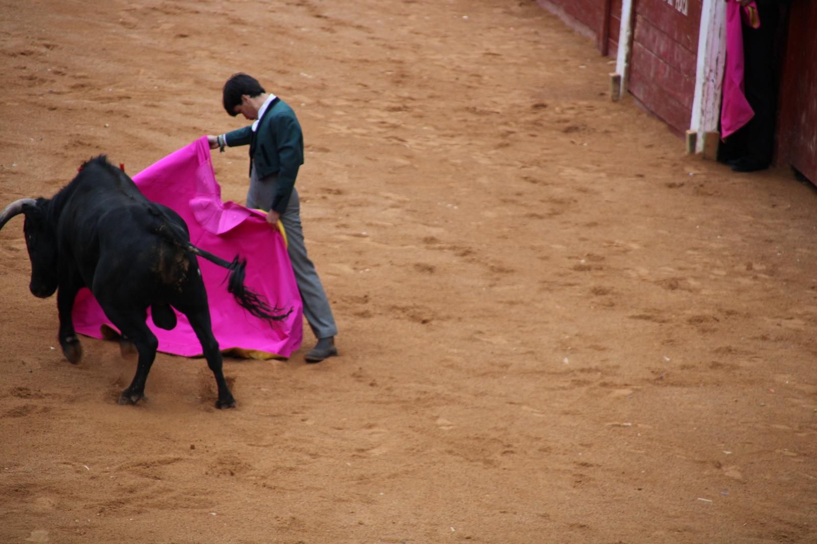 whatsapp-image-2025-03-02-at-18-54-58-1