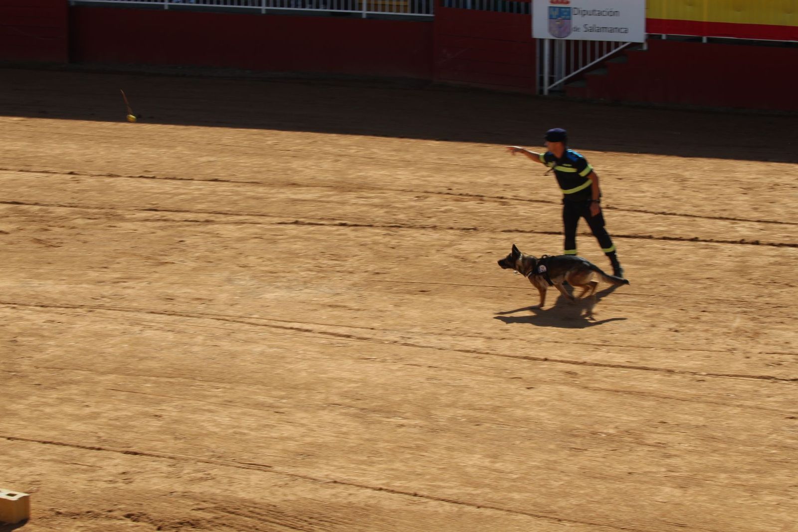 20230905122921-img-7965