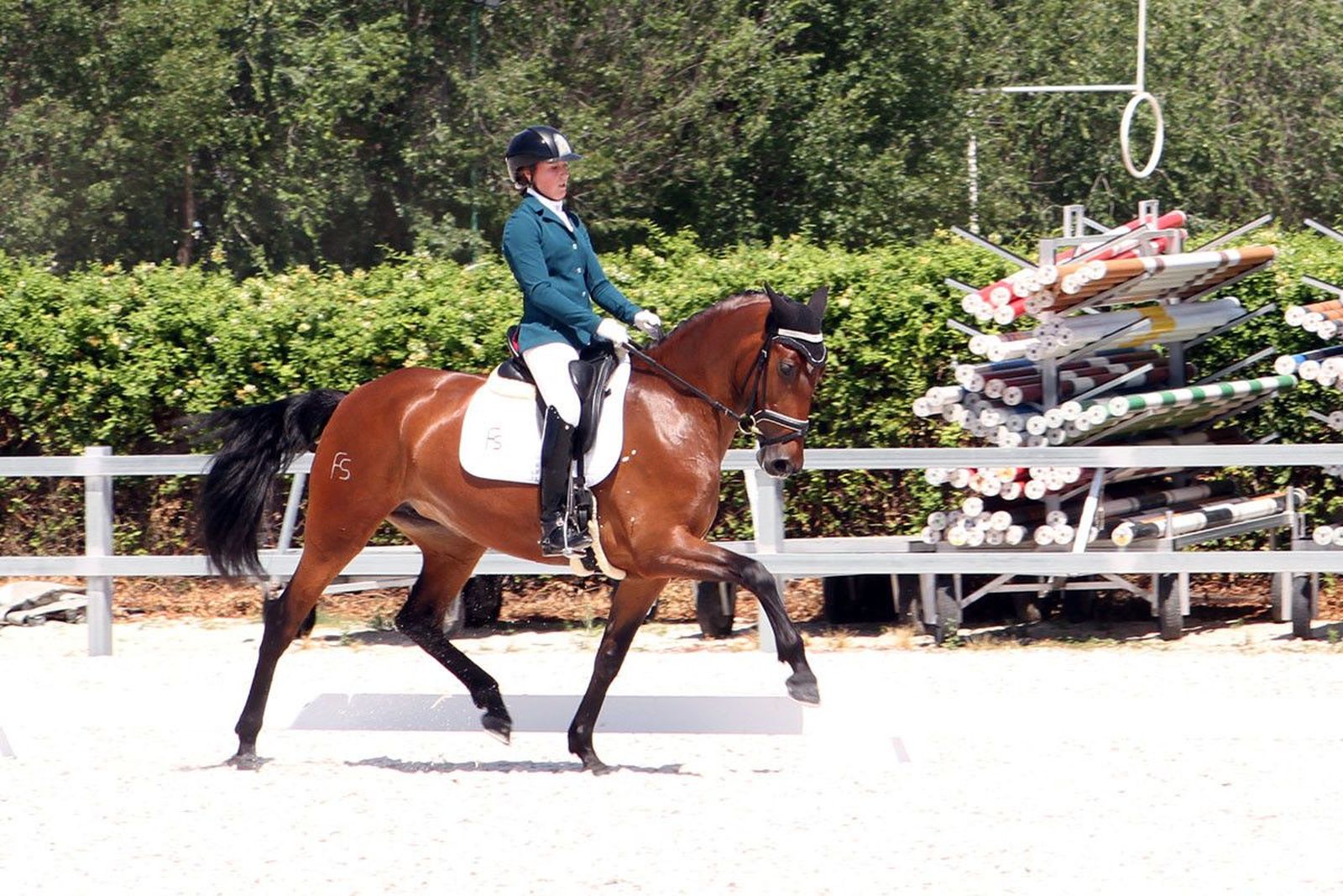 Luz fs subcampeona mundo doma clasica sicab yeguada arroyomonte