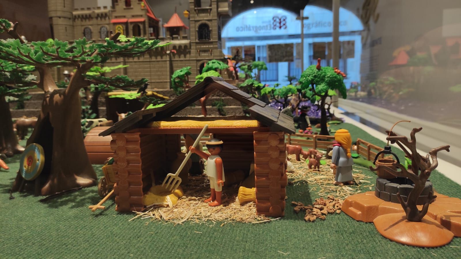 whatsapp-image-2023-12-01-at-10-20-14