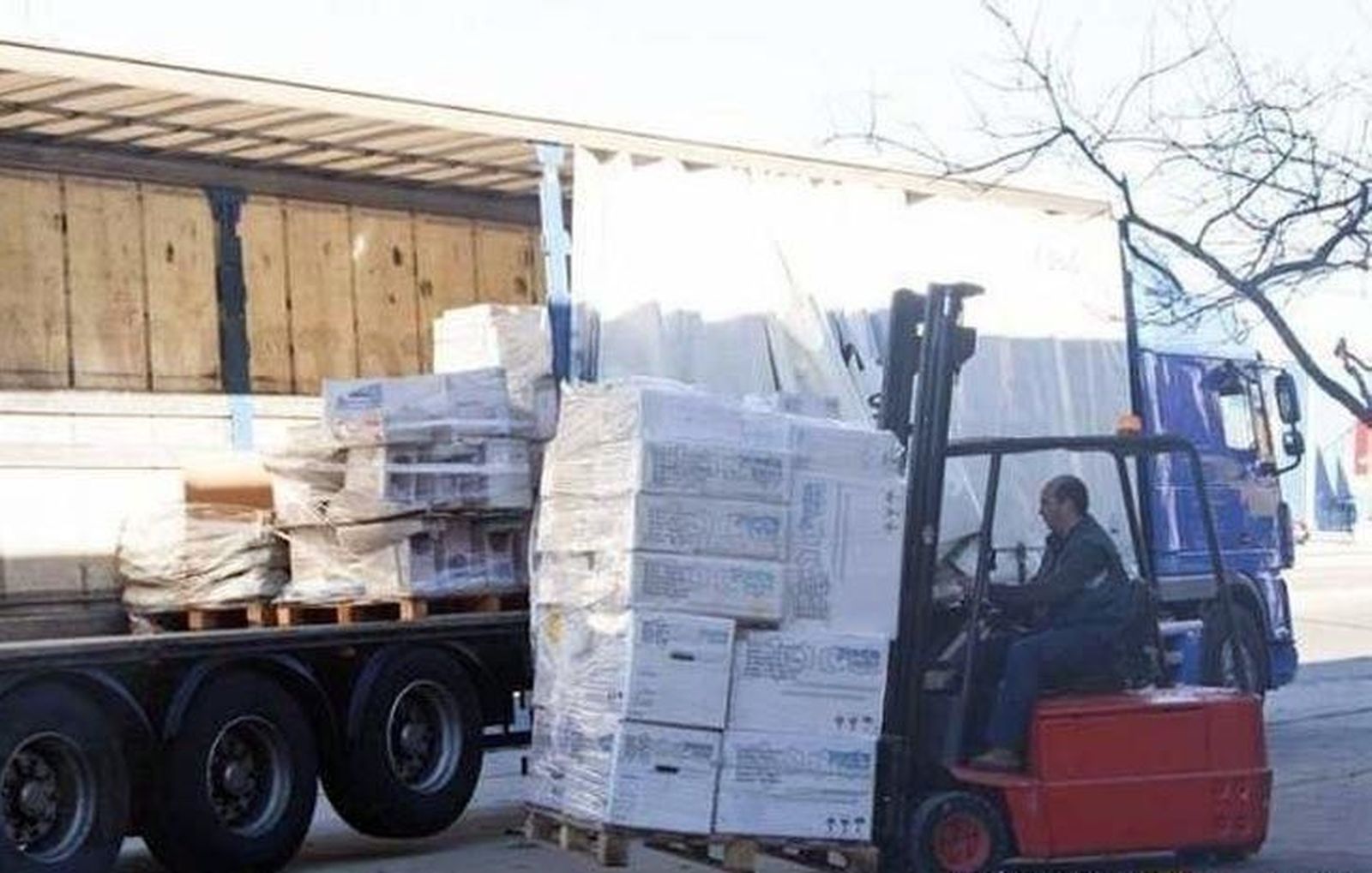 Aumenta la exportación