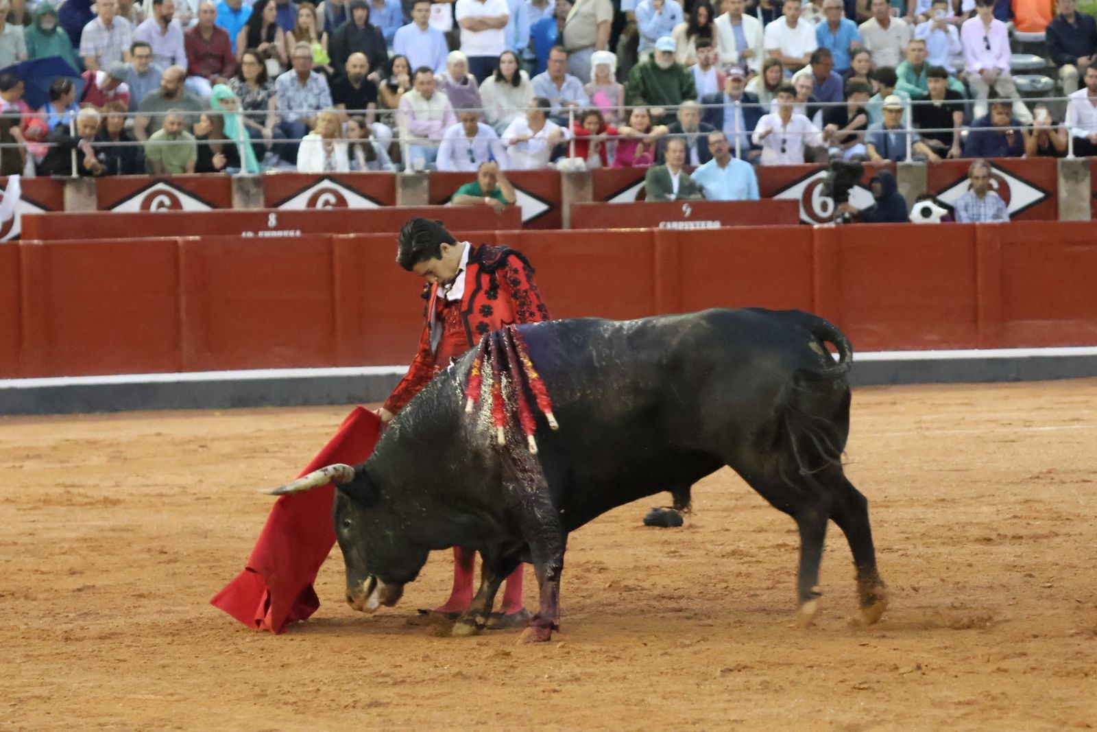 Ismael Martín, Marco Pérez y el aclamado regreso de Morante de la Puebla: su paso por La Glorieta en imágenes