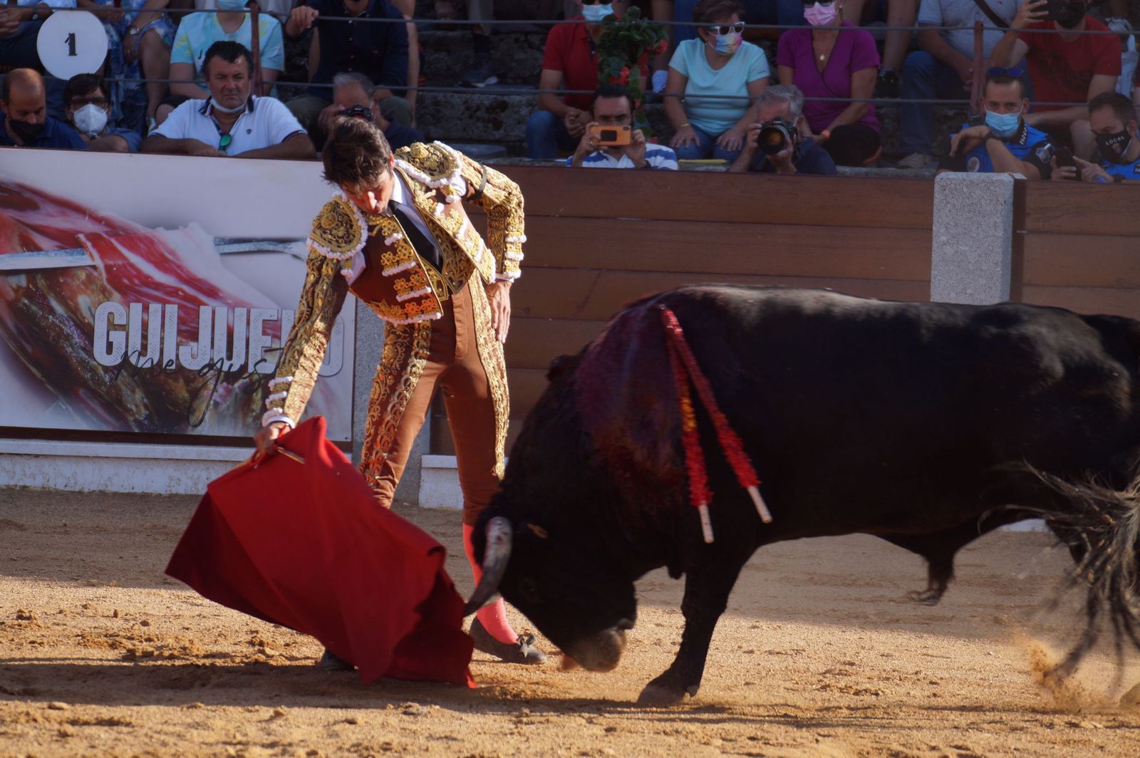 toros-en-guijuelo-15-de-agosto-61