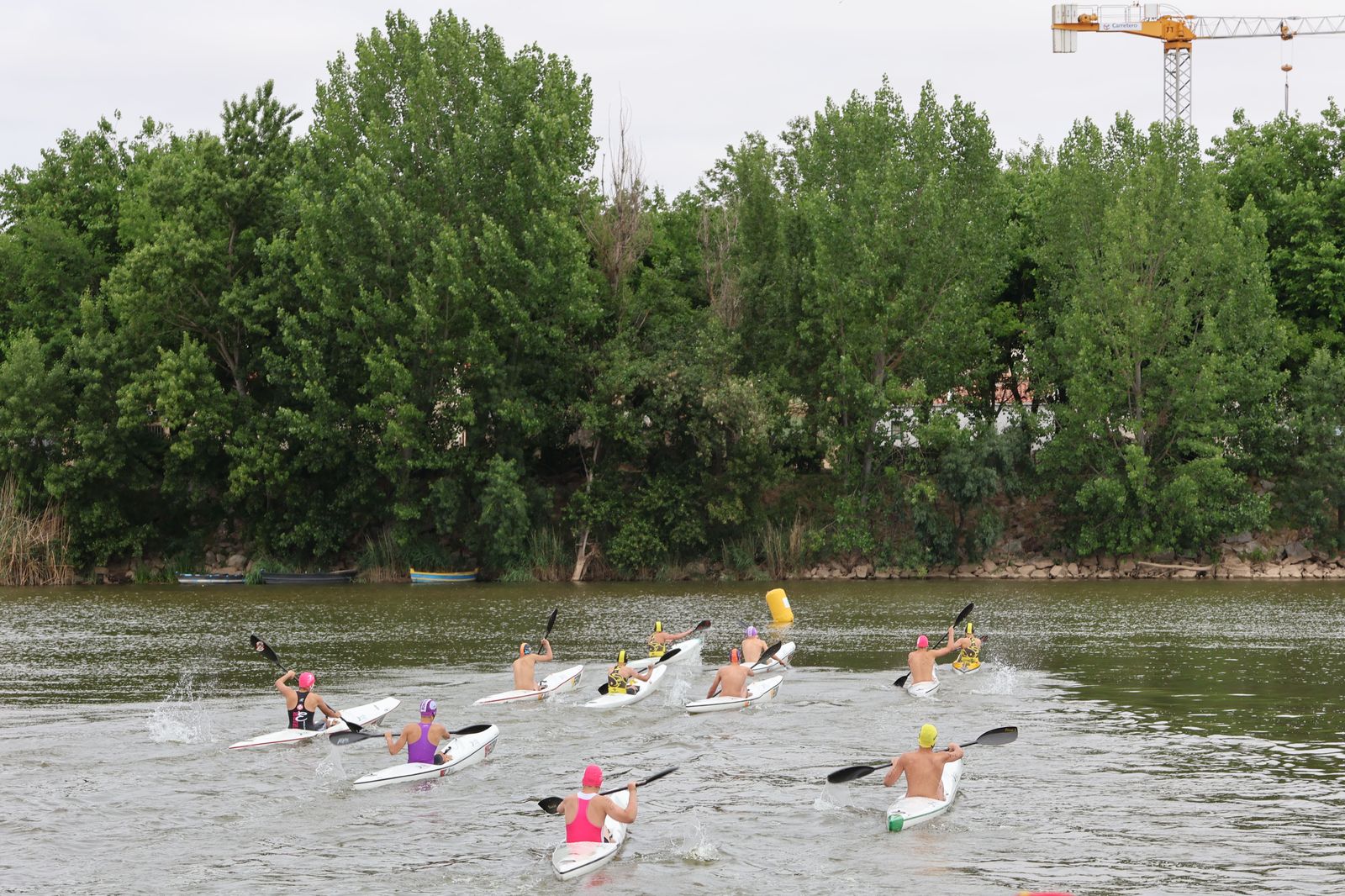 img-2252