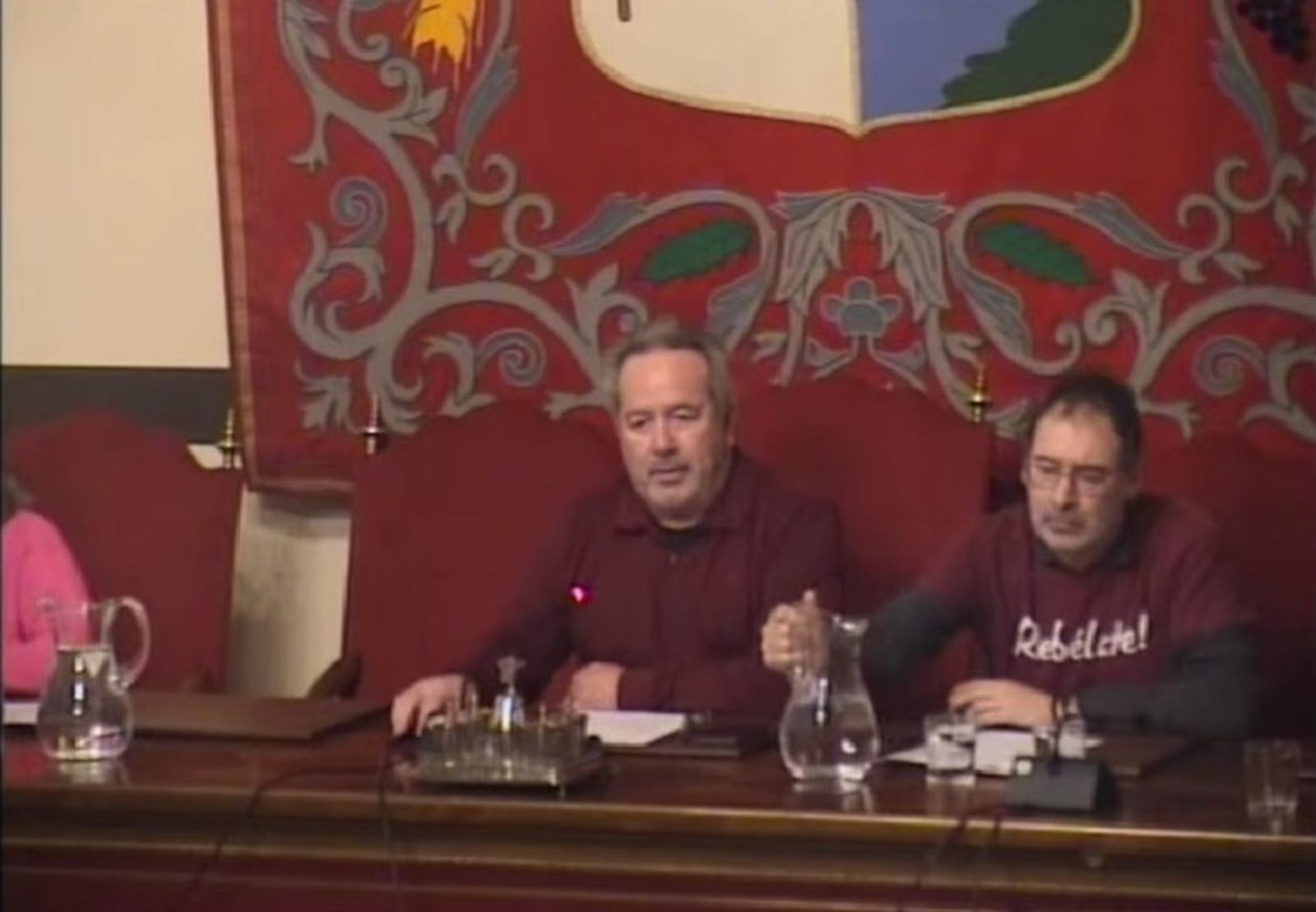 Imagen del Pleno de Enero