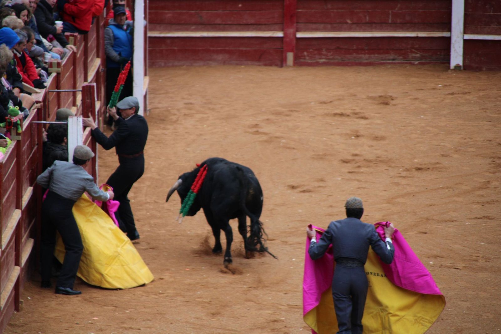 whatsapp-image-2025-03-02-at-18-54-10-1