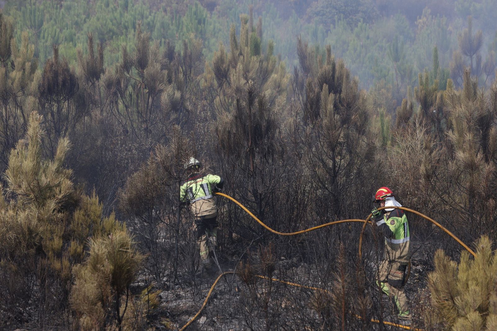 Incendio de Puercas. La situación entre Abejera y Riofrío