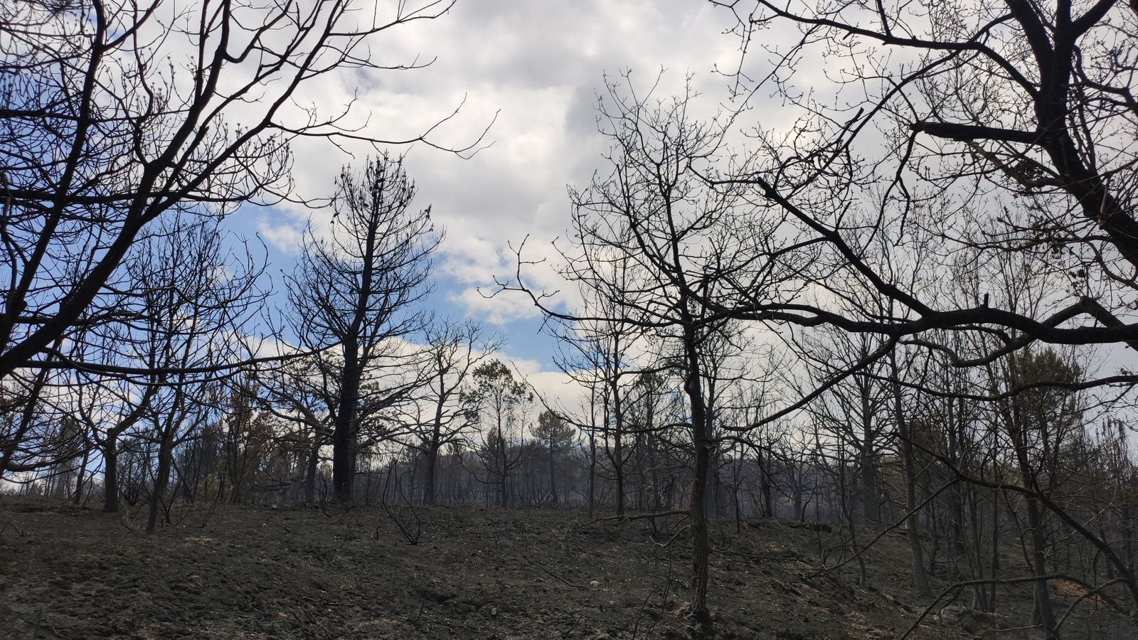 las-desoladoras-imagenes-de-la-sierra-de-la-culebra-tras-el-incendio-29