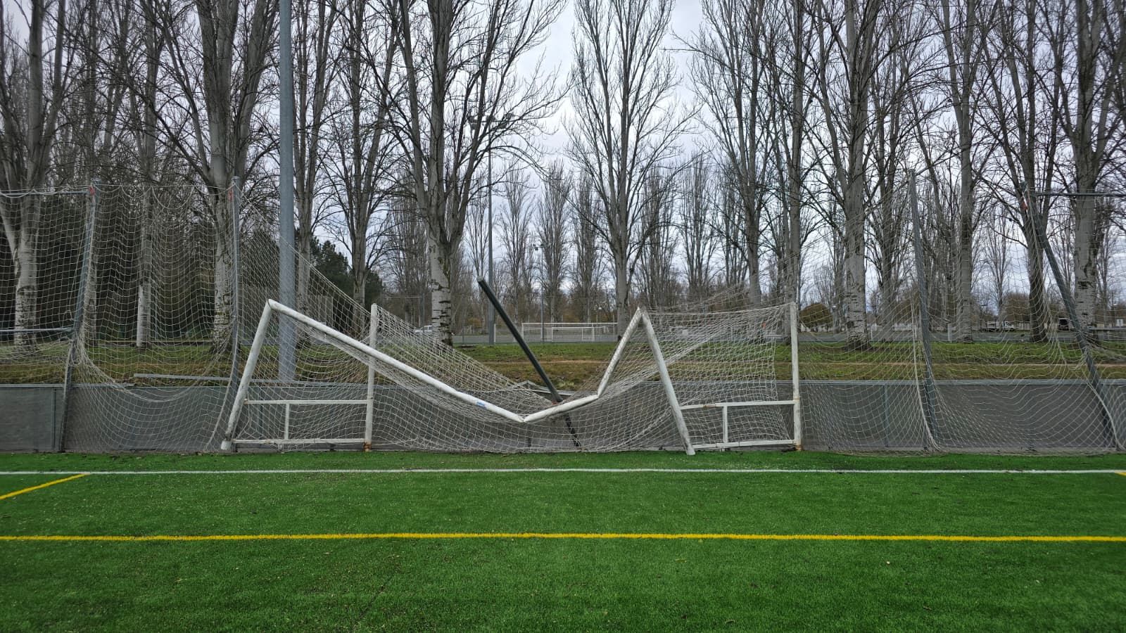 Un árbol de grandes dimensiones cae sobre una de las porterías de La Aldehuela