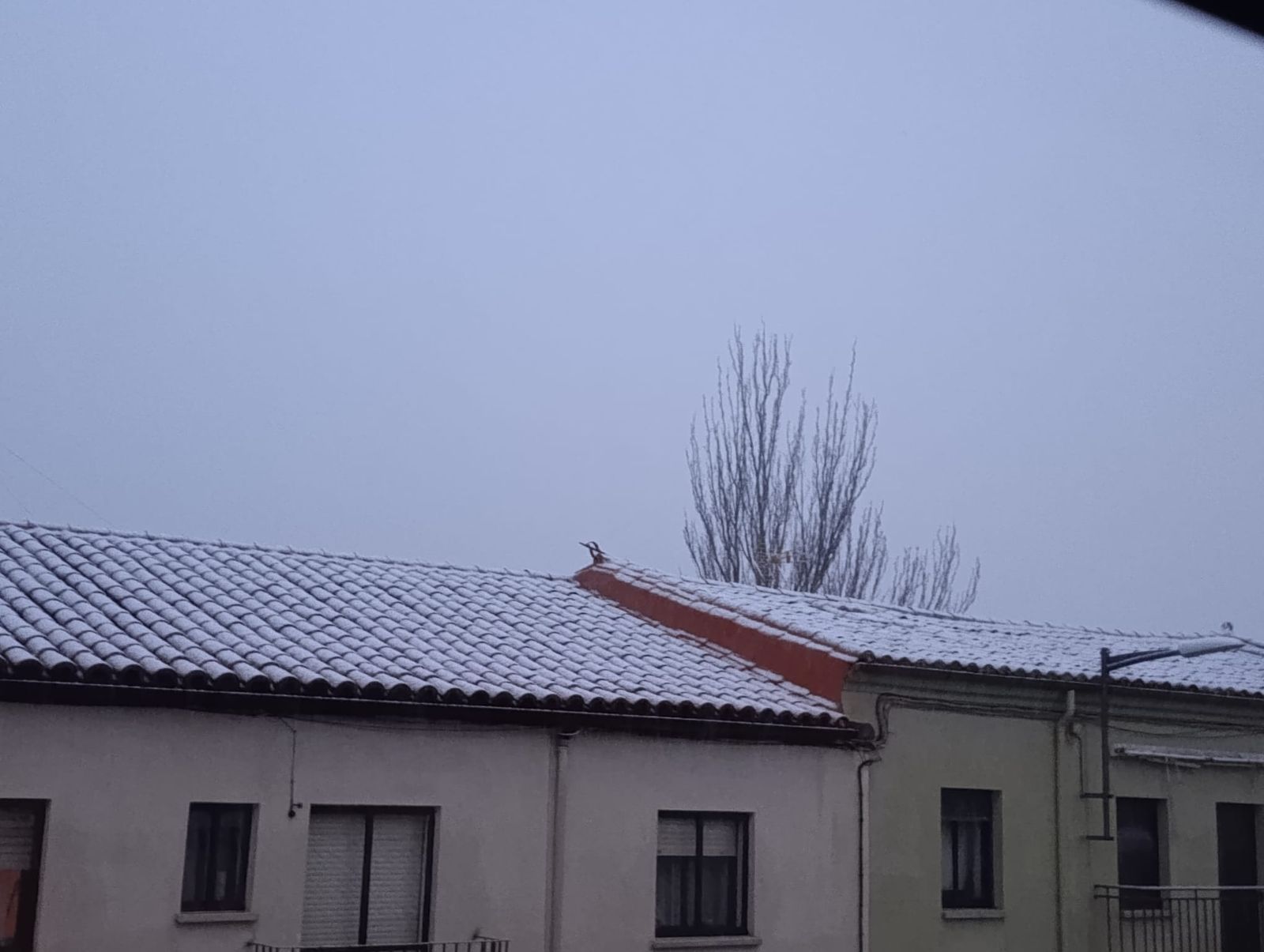 Nieve en Zamora capital este miércoles