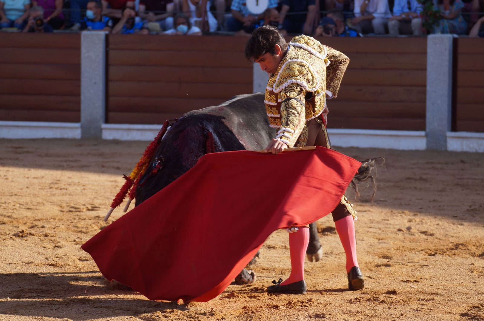 Toros en Guijuelo, 15 de agosto (63)