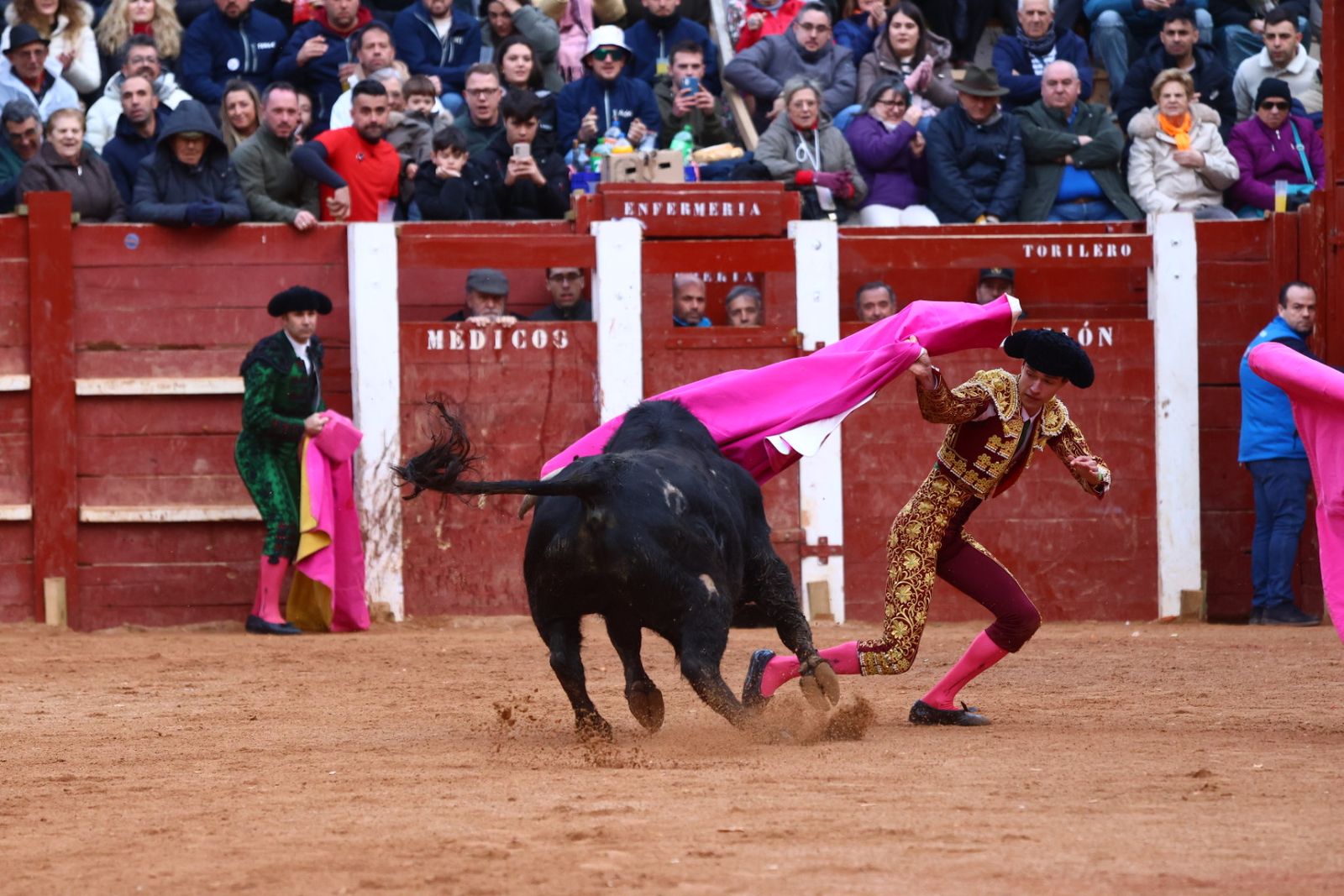 Novillada con picadores de lunes en el Carnaval del Toro de Ciudad Rodrigo 2026