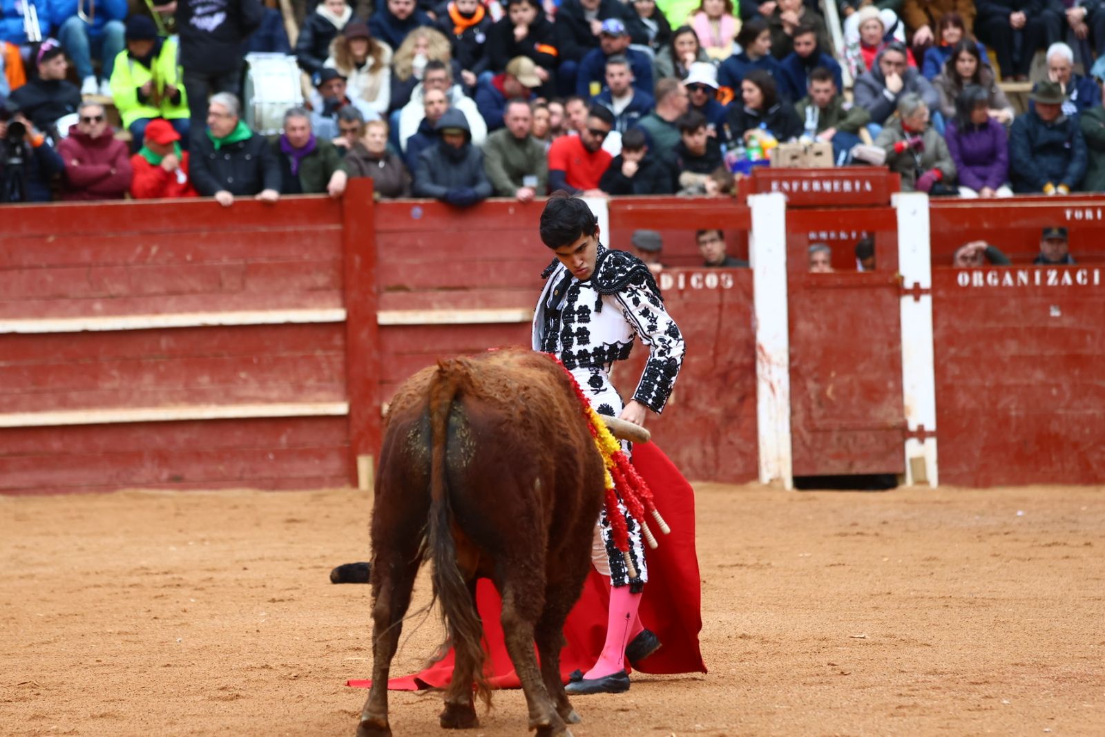 Novillada con picadores de lunes en el Carnaval del Toro de Ciudad Rodrigo 2026