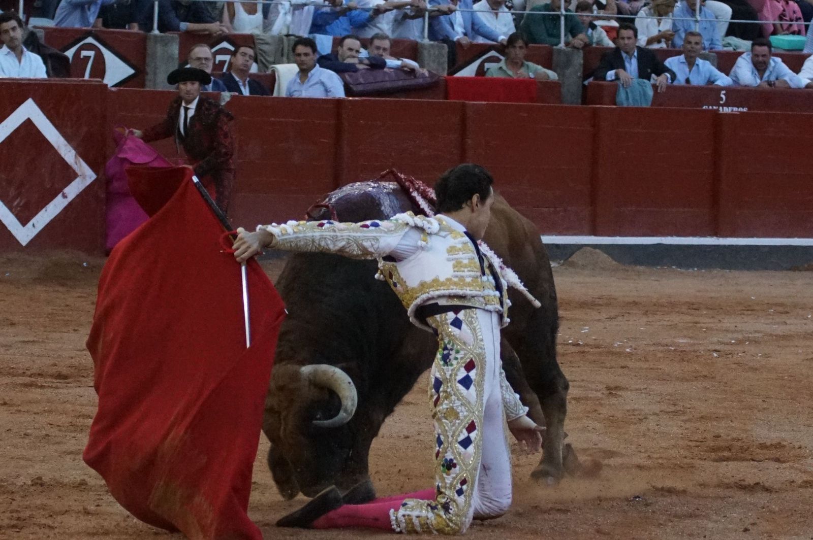 Emilio de Justo, Juan Ortega y Roca Rey inauguran el cartel de figuras en la feria de Salamanca: la corrida de Garcigrande en imágenes