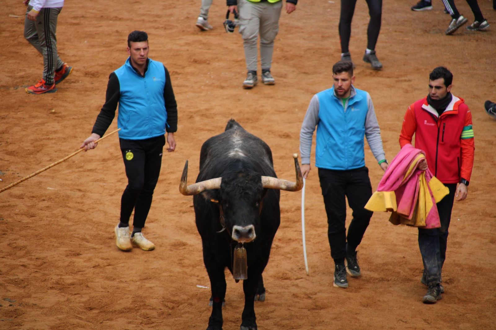 encierro-urbano-martes-de-carnaval-ciudad-rodrigo-2025-2