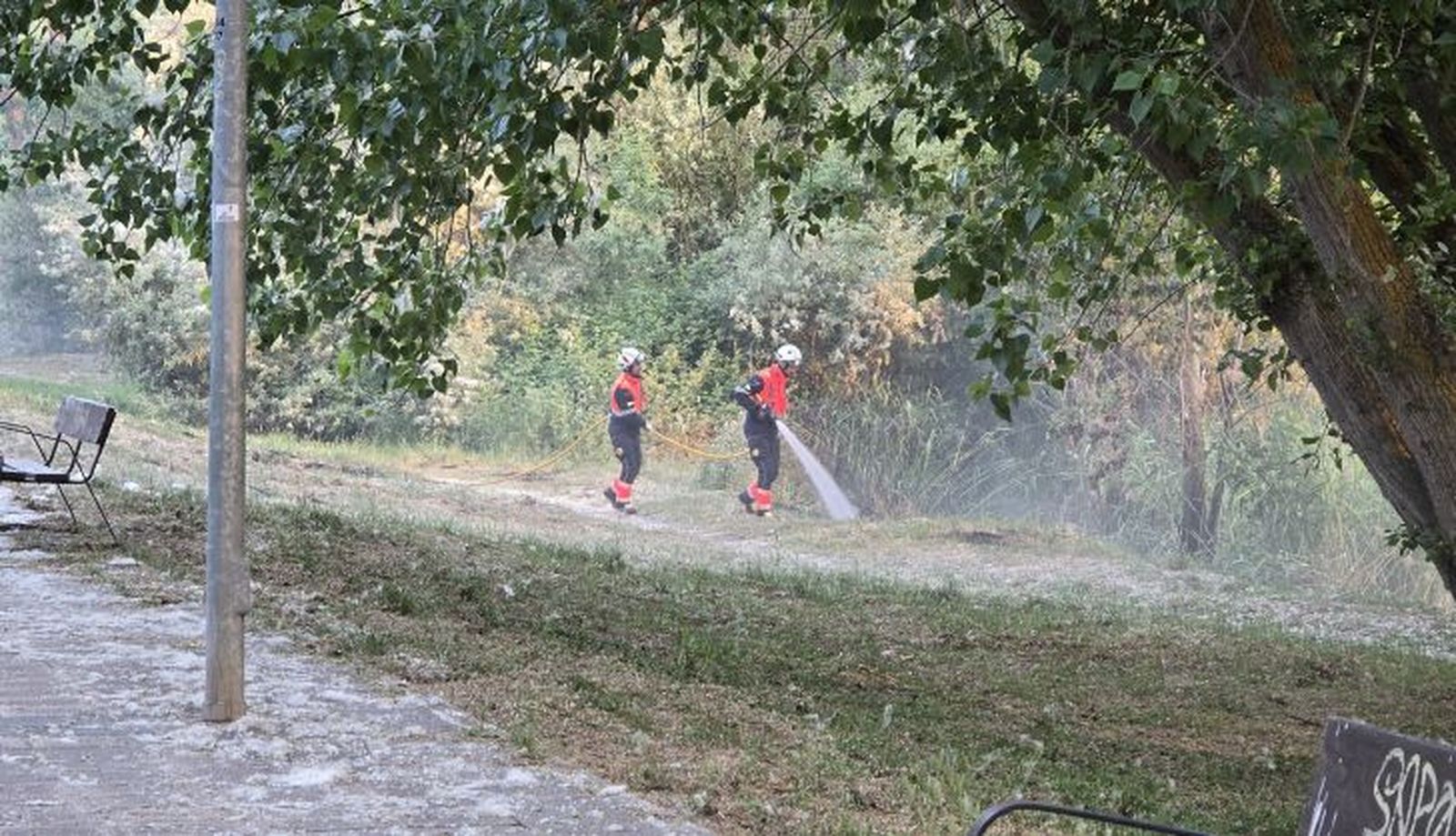 Incendio en La Aldehuela (2)