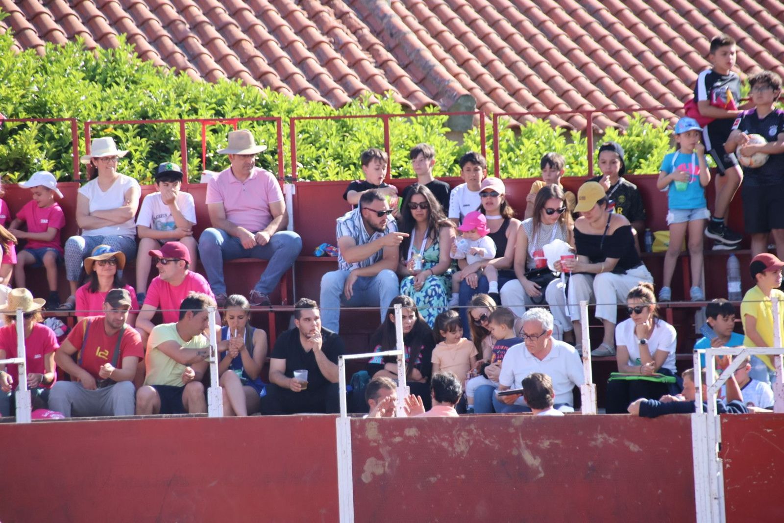 20240601171733-img-4416