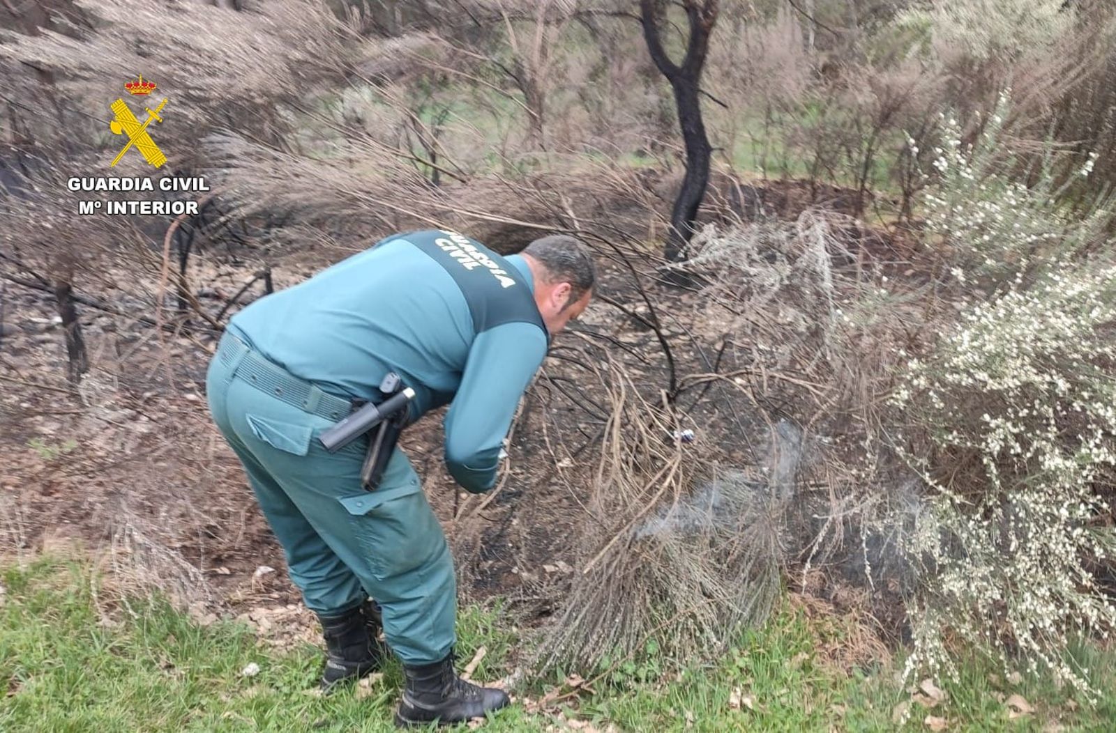 Pillada 'in fraganti' cuando iba a provocar un incendio forestal en Zamora