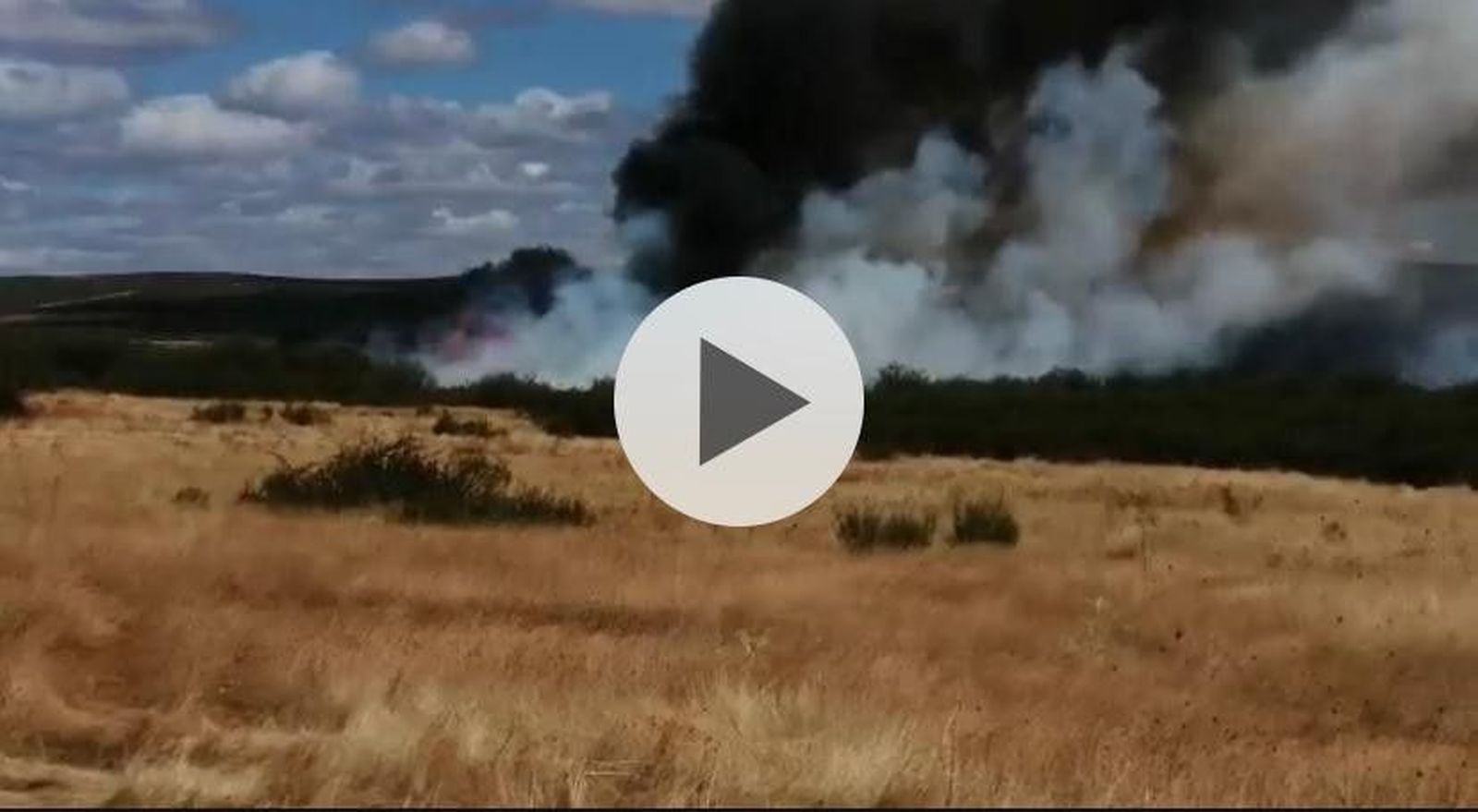 WhatsApp Image 2020 08 16 at 14.58.07