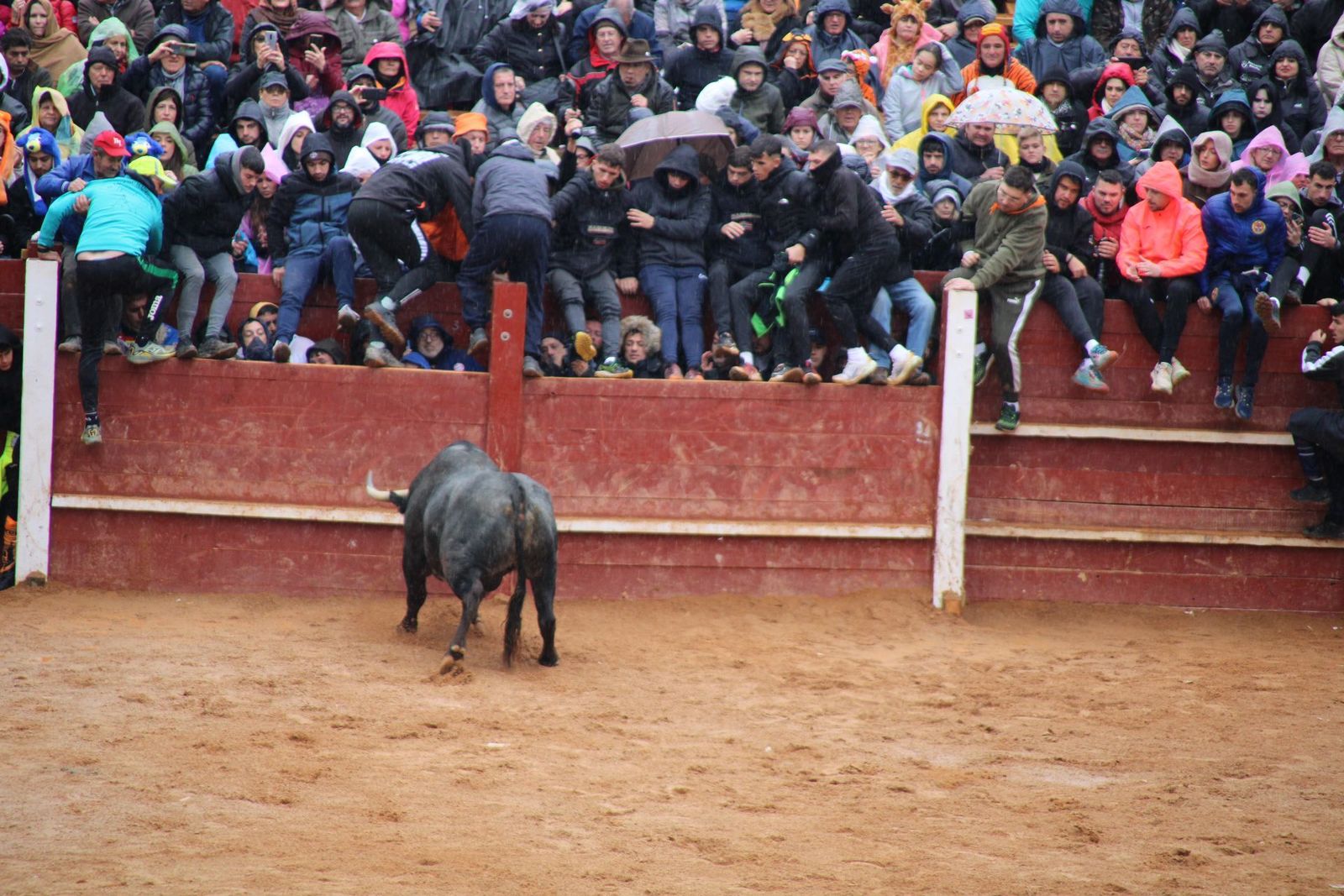 whatsapp-image-2025-03-03-at-12-46-45