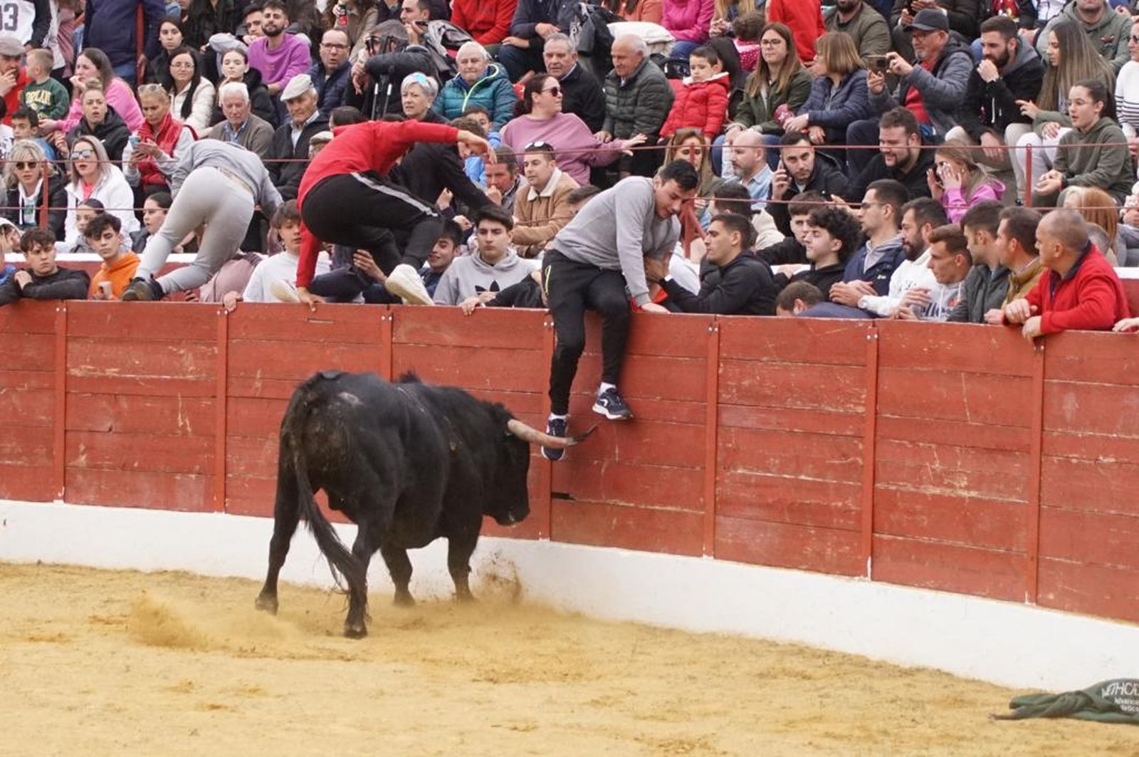 ambiente-y-participacion-durante-el-toro-del-voto-en-villoria-suelta-de-dos-toros-del-cajon-foto-juanes-70