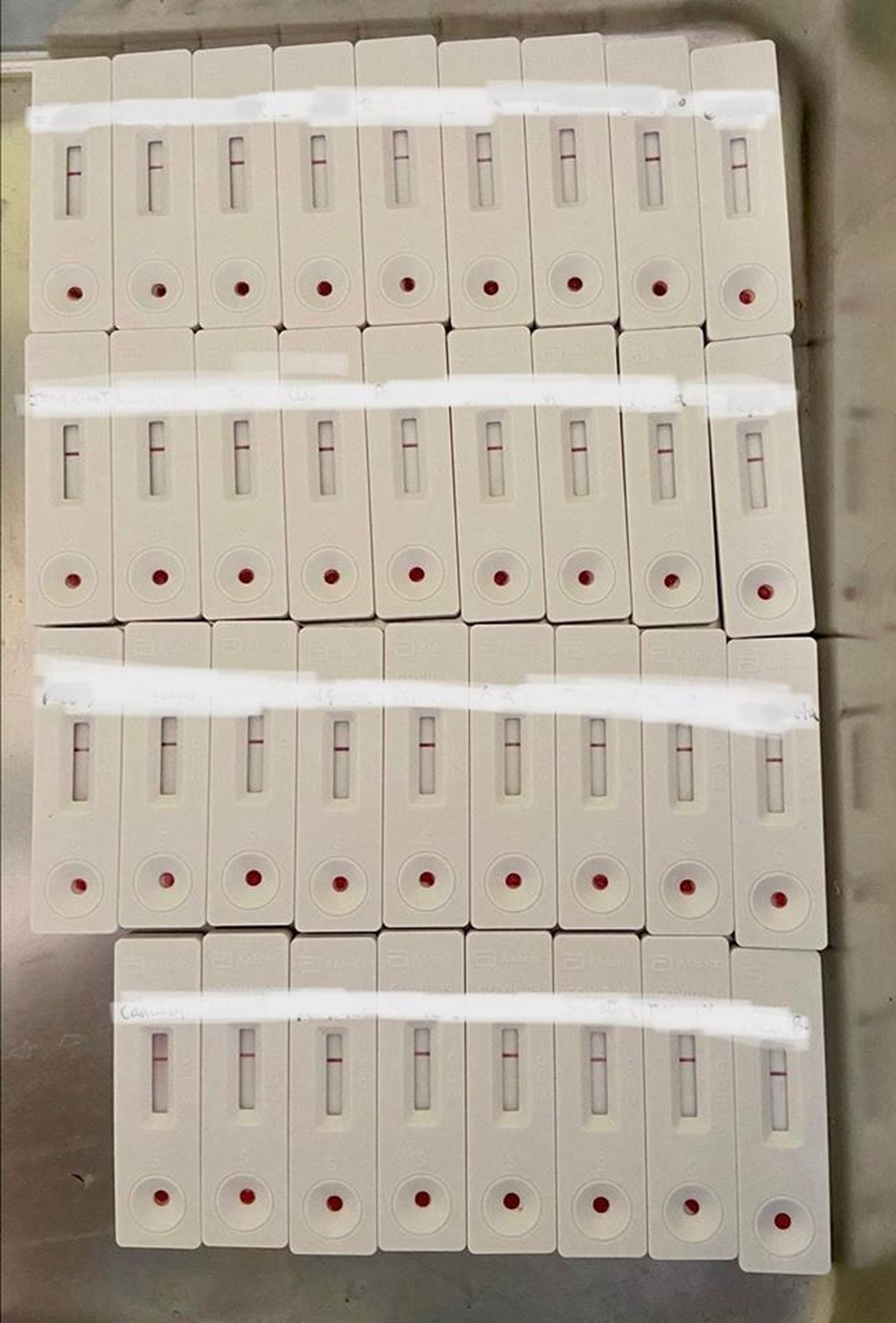 117769166 2151940958283086 8451373394192604506 o