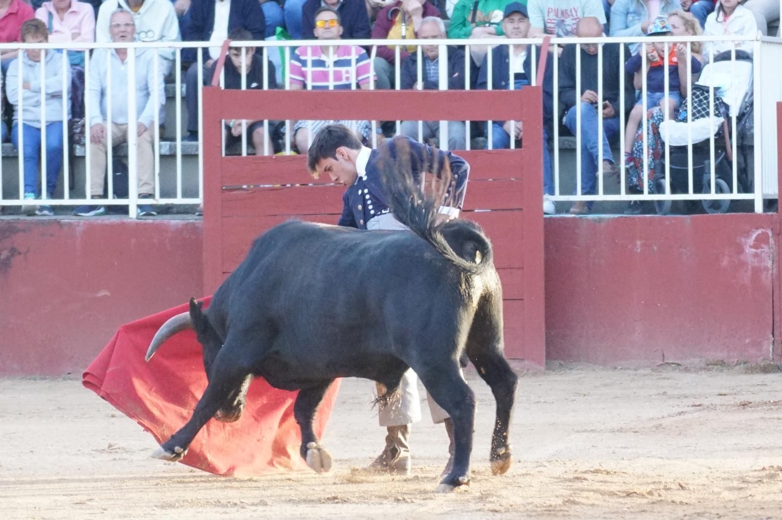 whatsapp-image-2024-09-06-at-20-54-08