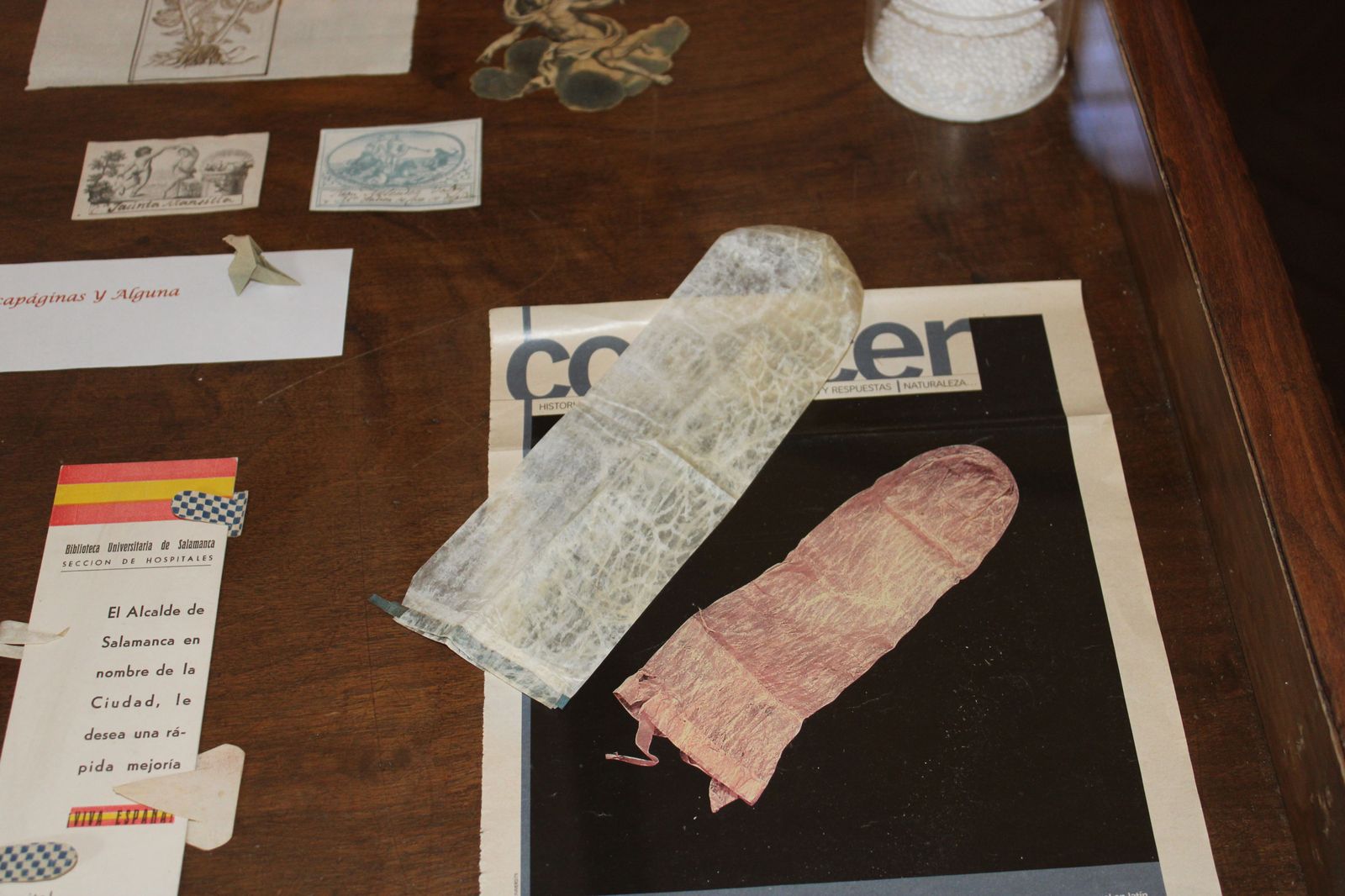 biblioteca-usal-serendipias-libros-historicos-directora-de-la-biblioteca-de-la-usal-libros-3