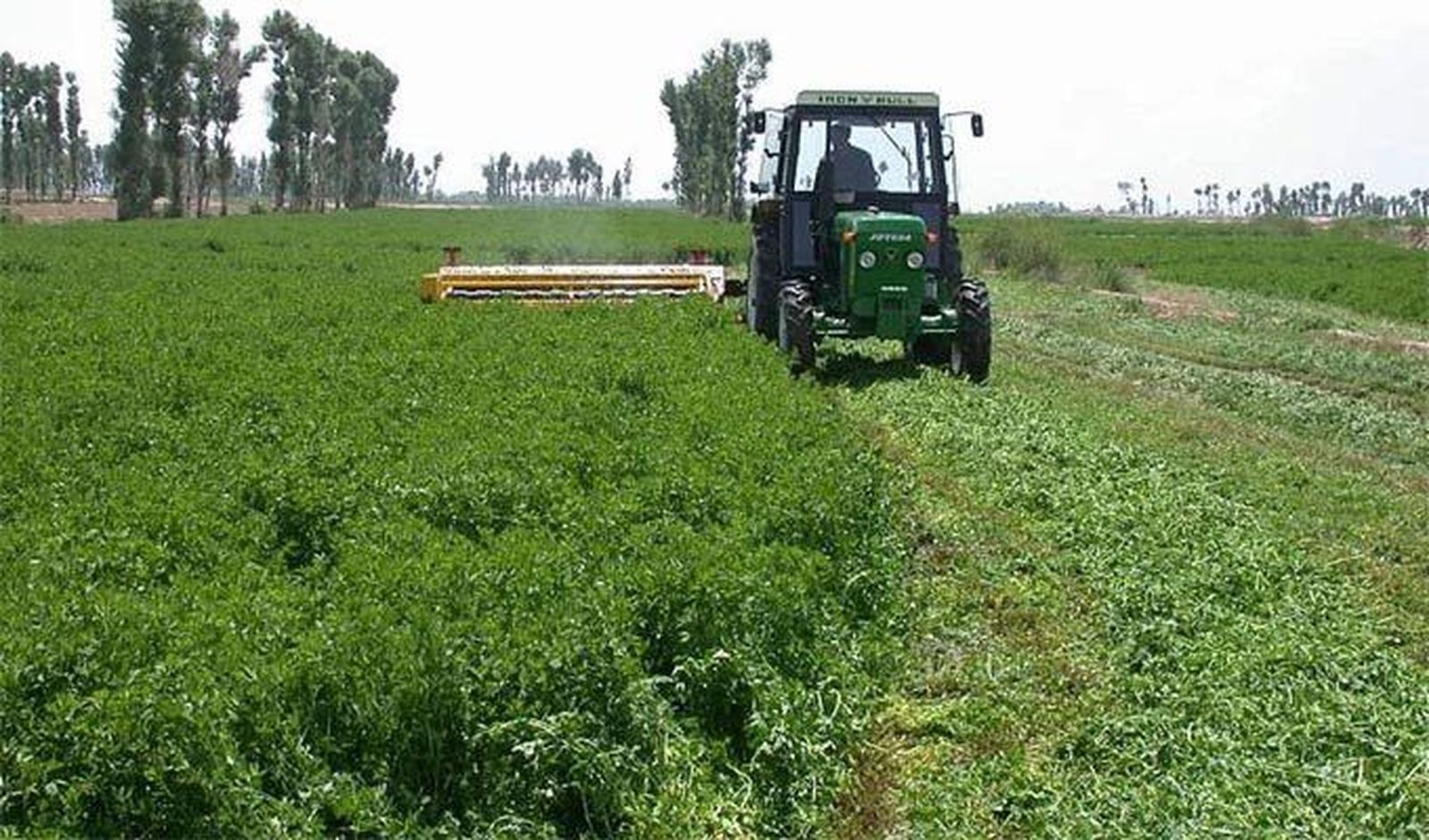 Los cereales siguen subiendo en la Lonja de Zamora