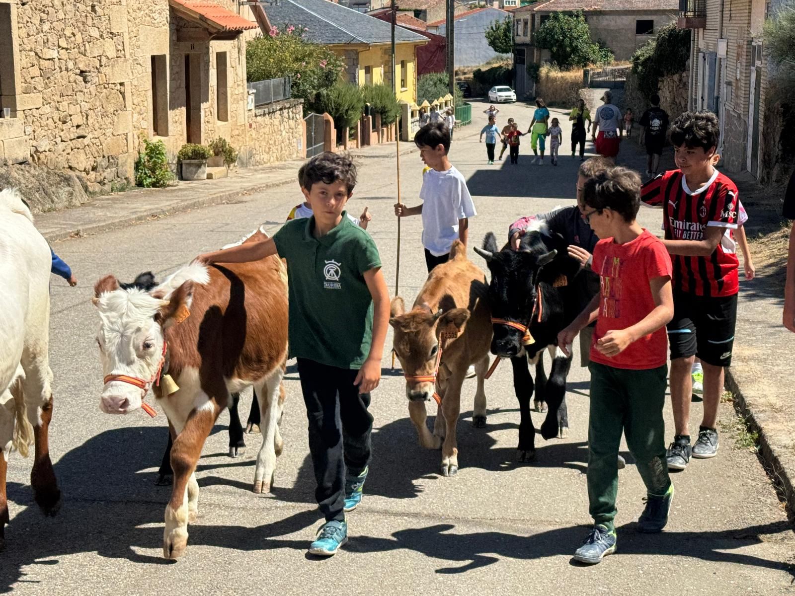 IMG-Encierro de mini bueyes en el último día de fiestas en Aldeadávila de la Ribera-WA0017.jpg