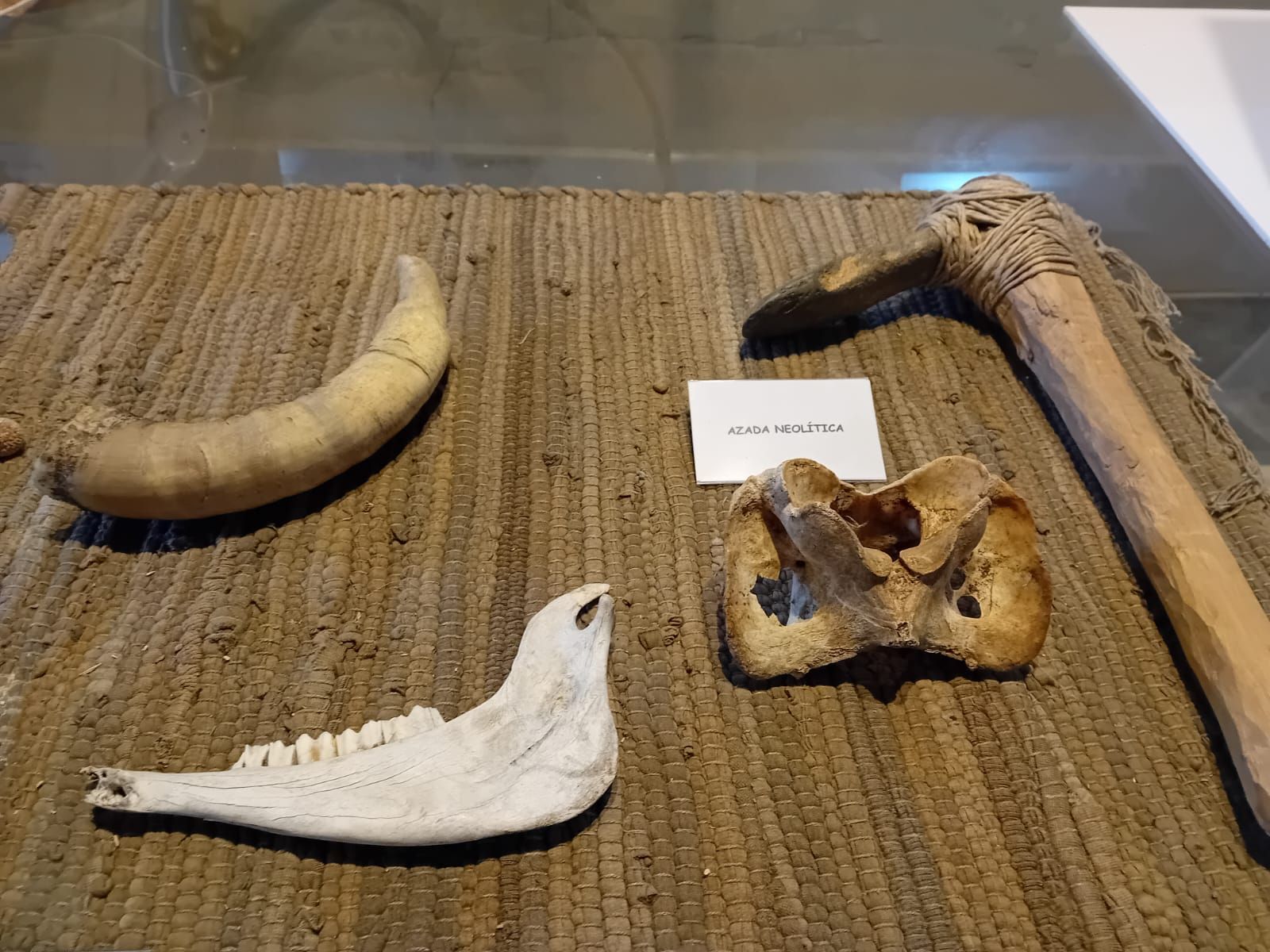 Herramientas y huesos de animales