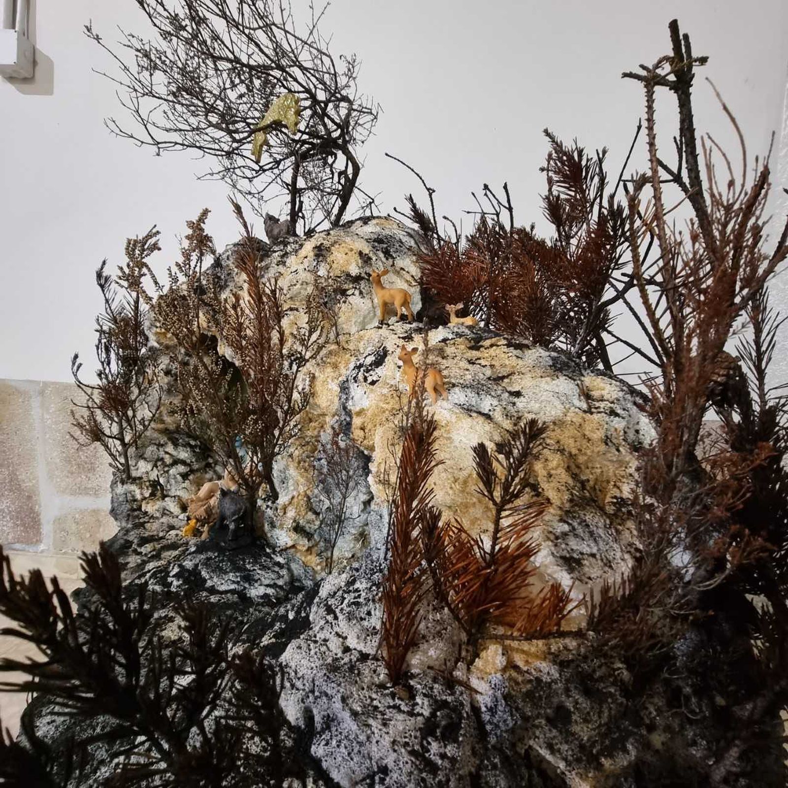 belen-de-boya-en-la-zona-de-los-incendios-4