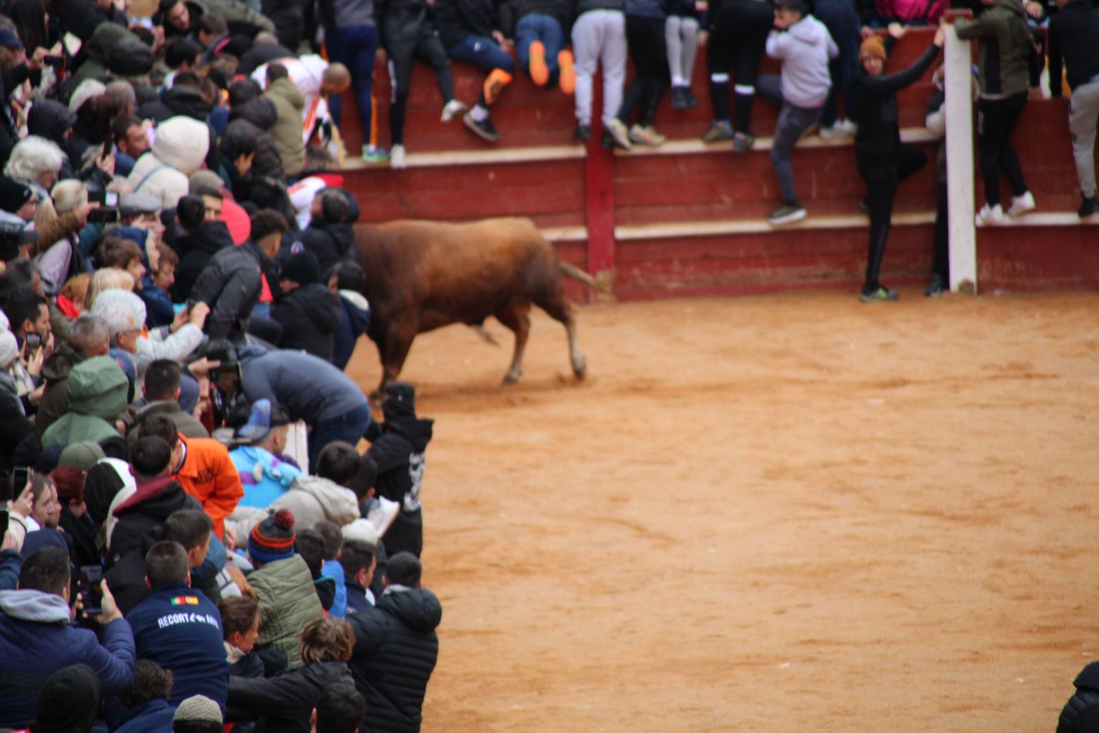 whatsapp-image-2025-03-01-at-13-18-34-2