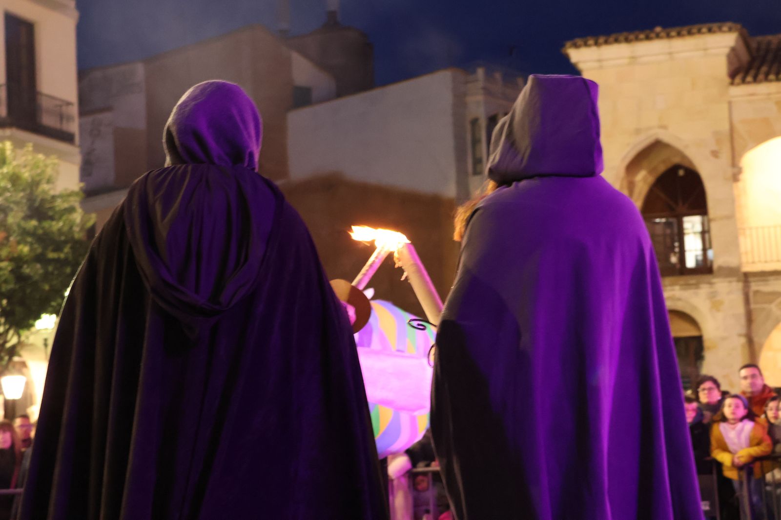 entierro-de-la-sardina-2025-52