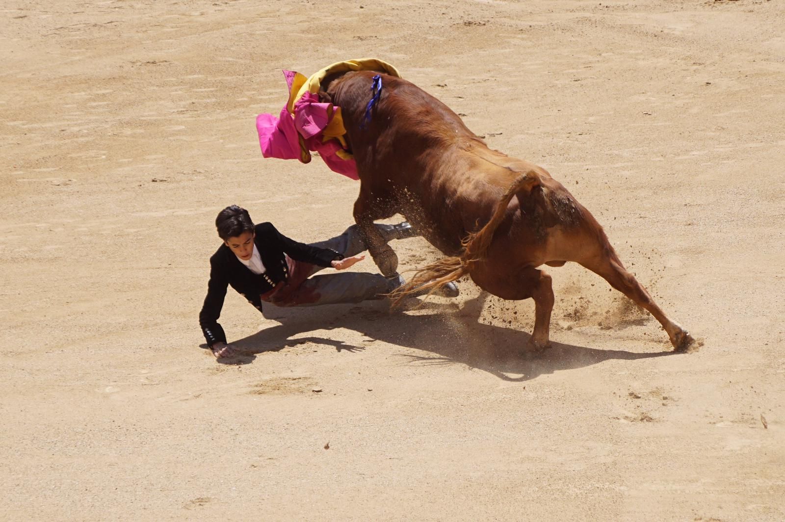 marco-perez-estreno-de-oro-en-las-ventas-15