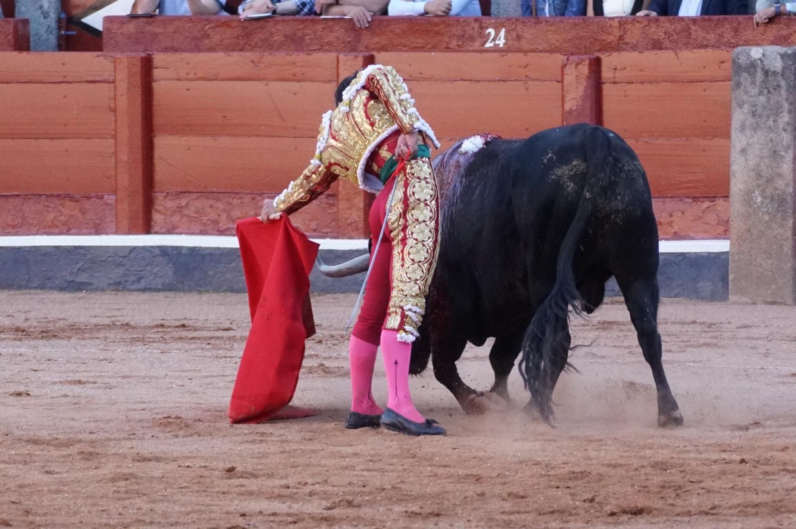 Presencia salmantina por partida doble en la primera corrida de la feria: Damián Castaño e Ismael Martín junto al mexicano Diego San Román