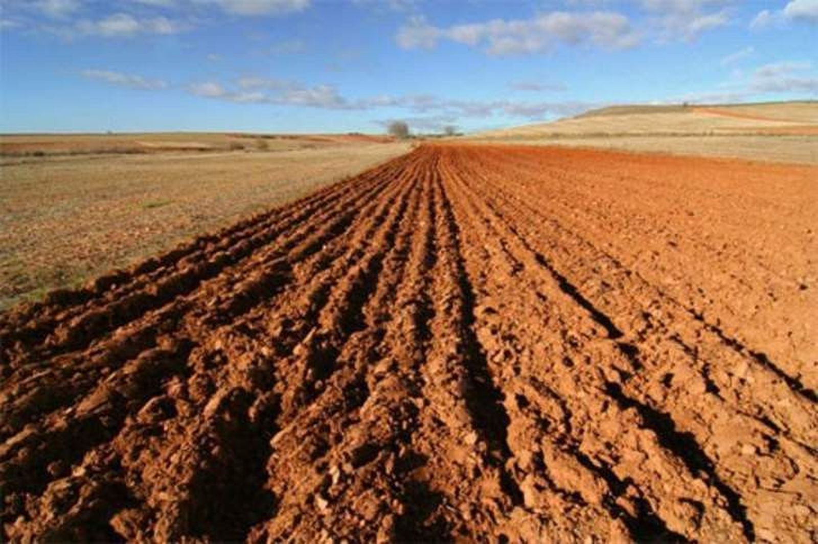 El número de beneficiaros de la PAC se ha reducido en un 12,5%