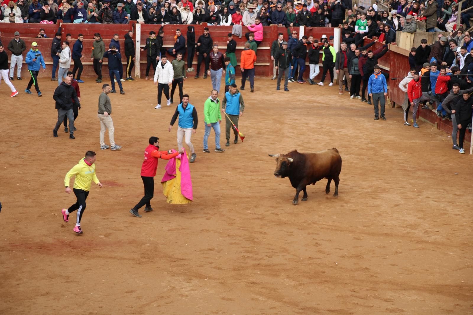 Encierro del lunes de Carnaval en Ciudad Rodrigo, toros de Fermín Bohórquez