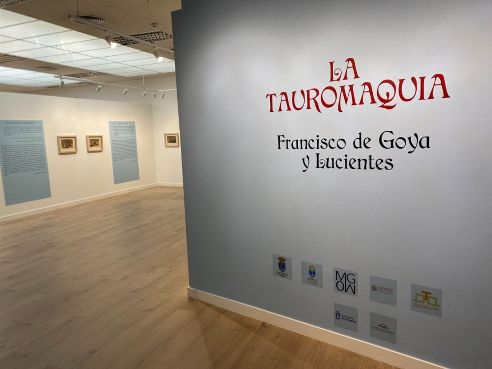 'La Tauromaquia de Goya'