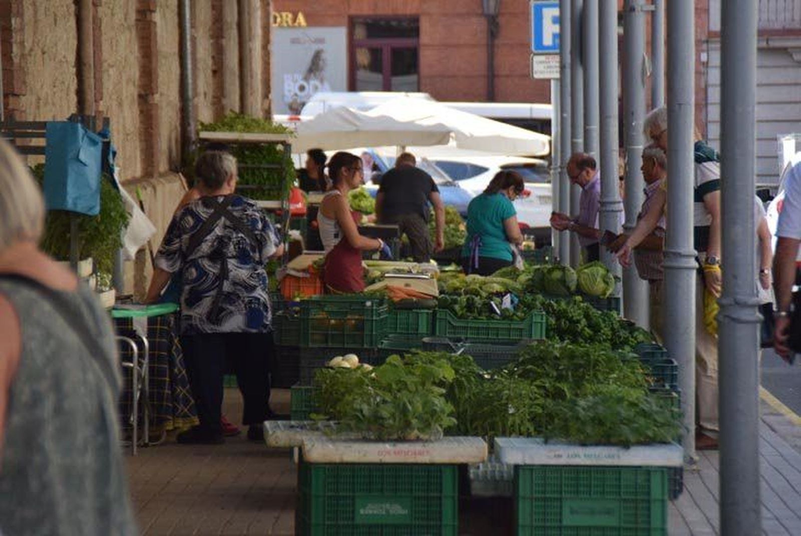 Performance Mercado Abastos 2017