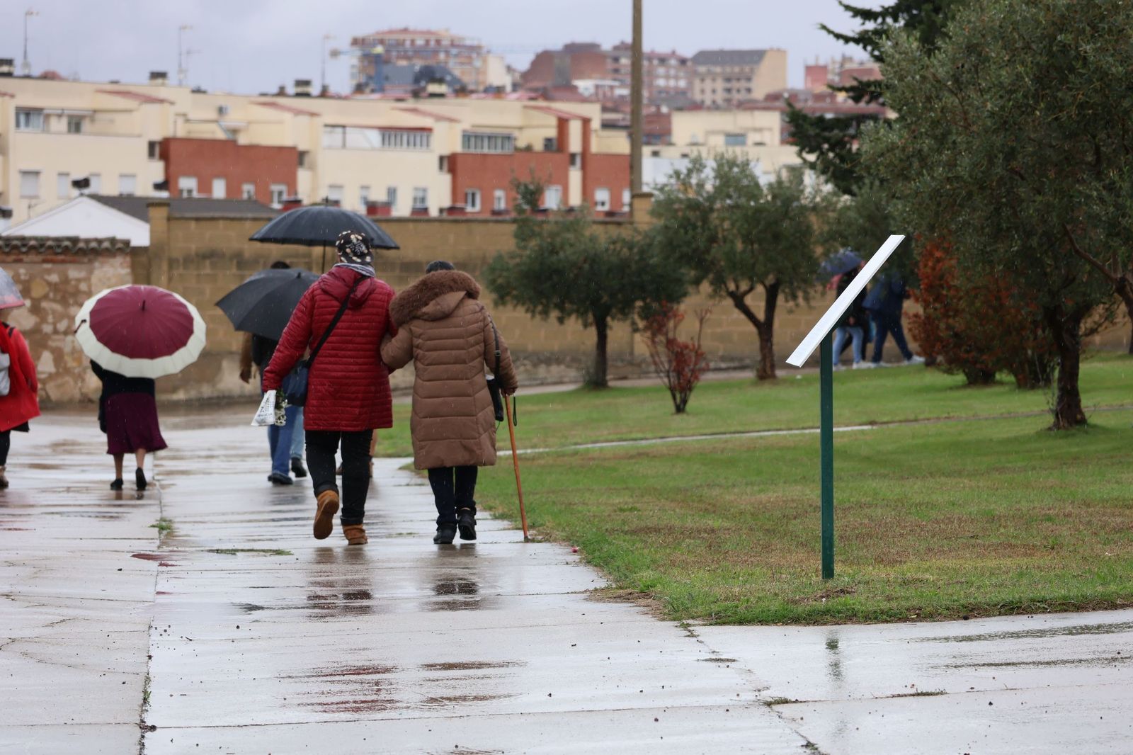 GALERÍA | La lluvia no detiene la tradición: los zamoranos acuden al cementerio para recordar a sus fallecidos