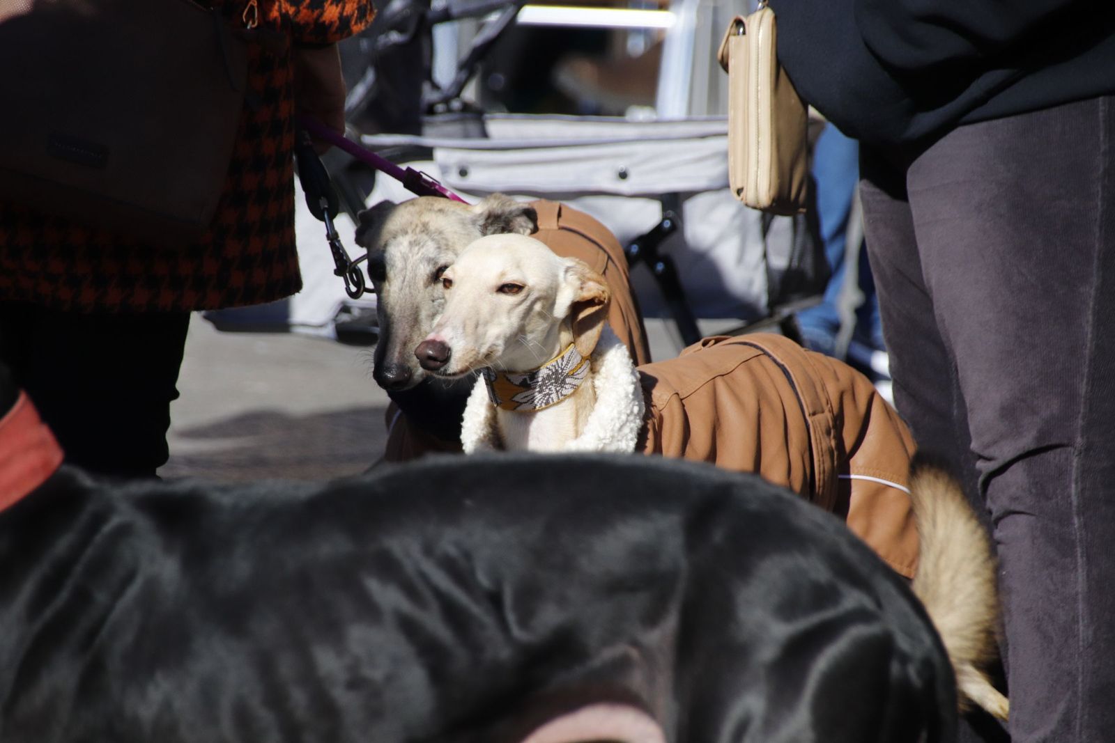 20230205122524-mg-5756