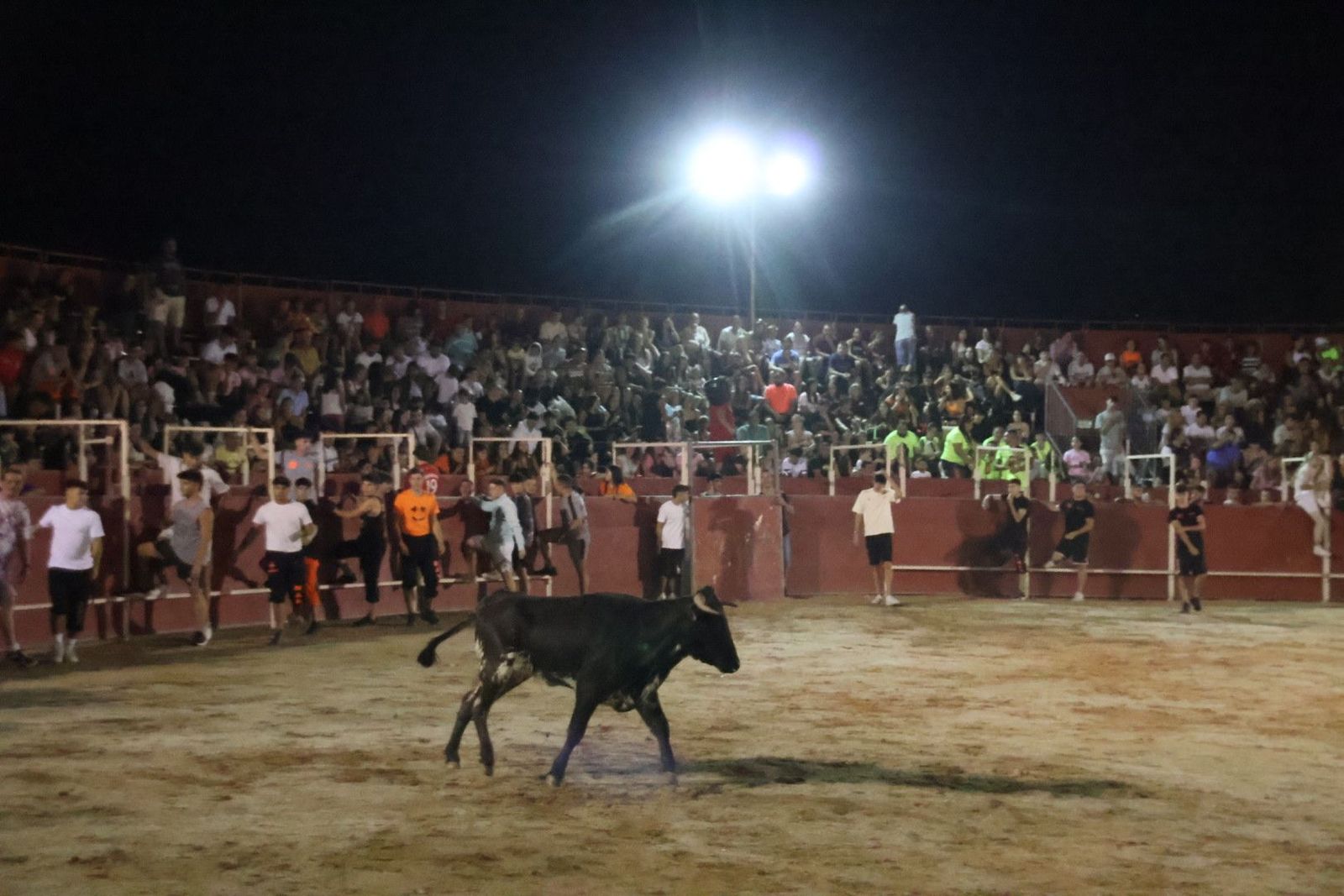 20230814221217-img-2273