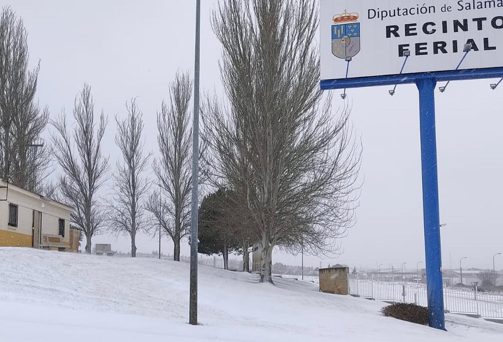 Mercado de ganado nevado
