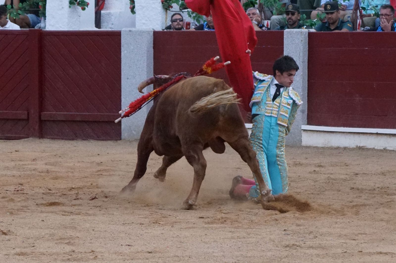 corrida-rejones-guijuelo-29