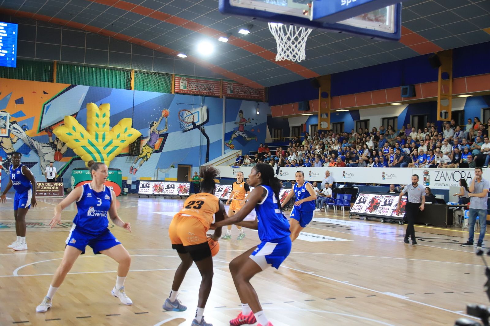Copa Baloncesto Castilla y León: Zamarat-Avenida